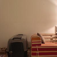 kennel Pet Around You Trasportino Caravan

