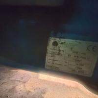 Rimorchio agricolo dumper due assi