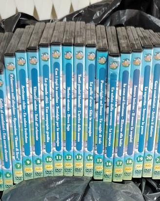 Dvd Heidi