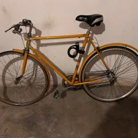 Bici da Uomo cerchi da 26