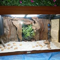 acquario 