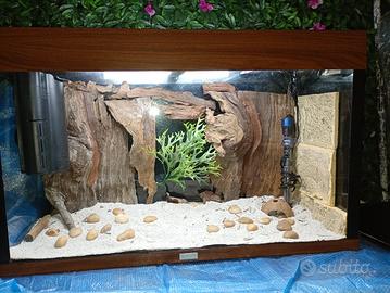acquario 