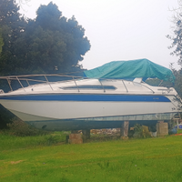 Cabin americano Thompson Santa Cruz 31 cruiser