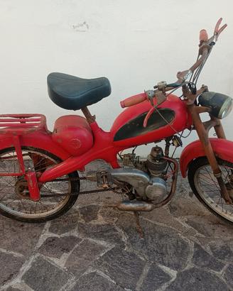 Motom 48 