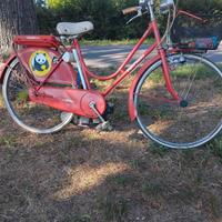 bicicletta a motore 