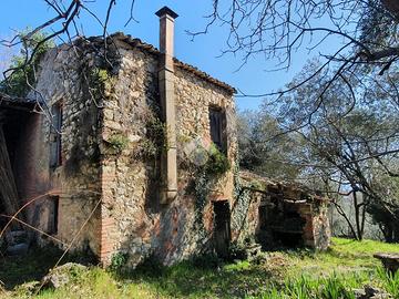 CASA DI CORTE A VEROLI