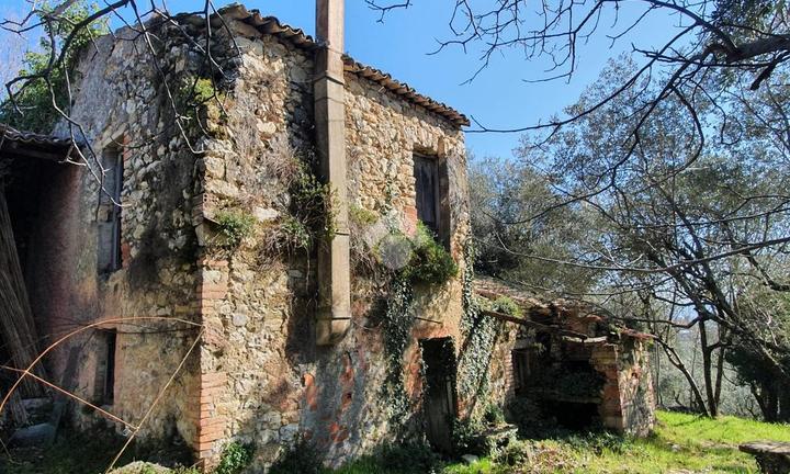 CASA DI CORTE A VEROLI