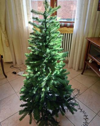 Albero di Natale