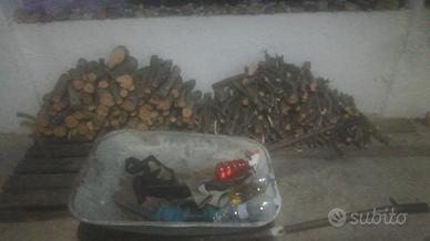 legna di olivo