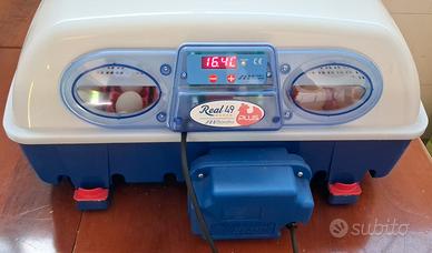 Incubatrice Borotto Real 49 Plus