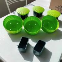 Ruote e casette per criceto