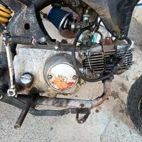 Pit bike 140cc