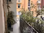 Immagine 8