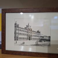 quadro radica Modena
