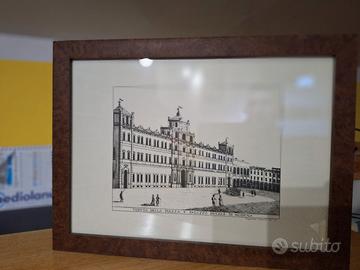 quadro radica Modena