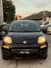 fiat-panda-1-2-lounge