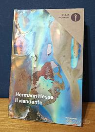 IL VIANDANTE – Hermann Hesse
