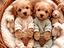 Immagine 17