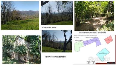 Terreno edificabile