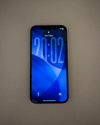 Iphone 12 128 gb
