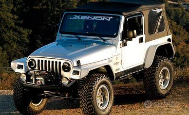 SET Parafanghi Flat XENON JEEP Wrangler TJ