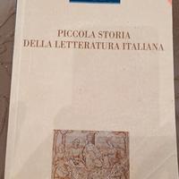 Piccola storia della letteratura italiana
