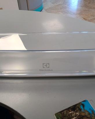Electrolux balconcino con sportello frigo incasso