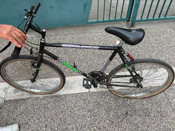 bici atala 24