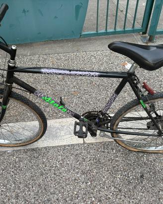 bici atala 24