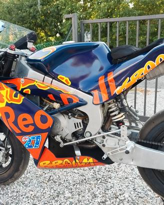 minigp 12 pollici 