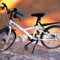 Bici raggio 20