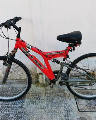 Bici ragazzo