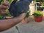 Immagine 4