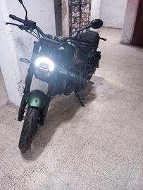 Benelli Leoncino 125 anno 2024