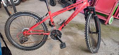 mountain bike torpado 