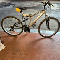 mountain bike