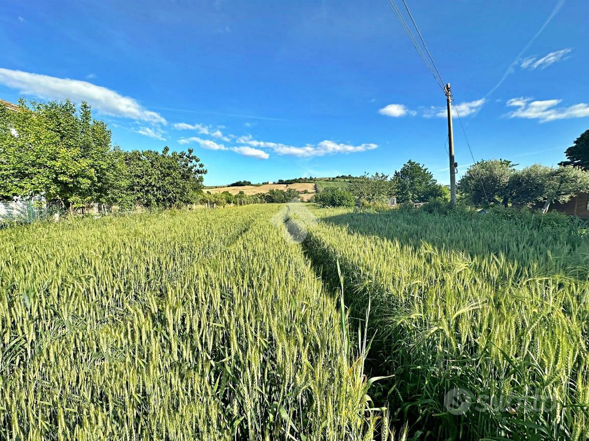 TER. AGRICOLO A SAN GIOVANNI IN MARIGNANO - Vista 2