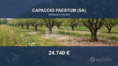 Immobile in asta di 5799 m² a Capaccio Paestum