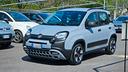 fiat-panda-1-0-firefly-s-s-hybrid-city-cross