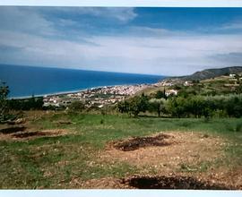 Terreno edificabile