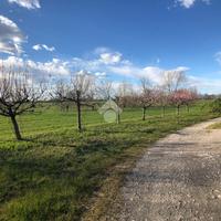RUSTICO A CASTELBELFORTE
