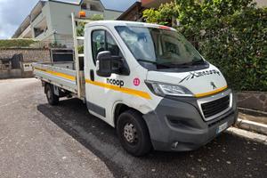 Peugeot Boxer 335 2.2 HDi/130CV FAP PLM Cassonato 