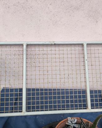 Divisorio auto per cani
