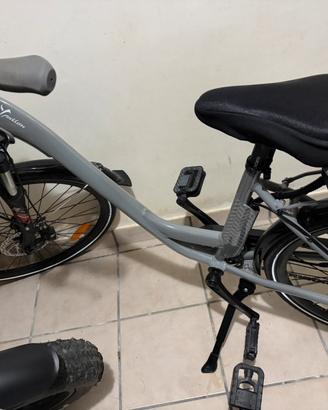 Bicicletta elettrica