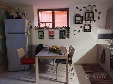 Appartamento seminterrato