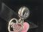 Immagine 3