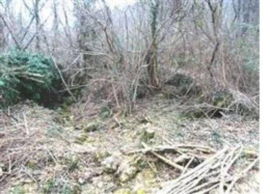 Immobile in asta di 133870 m² a Nimis - Altro