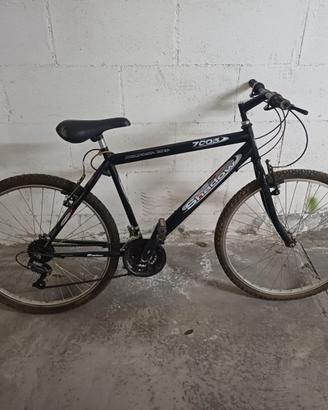 Mountain Bike nero, per uomo e per donna