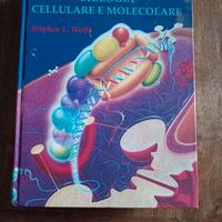 Introduzione alla biologia