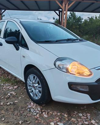 Fiat Punto Evo 1.3 Mjt 75 CV DPF 5 porte S&S Blue&
